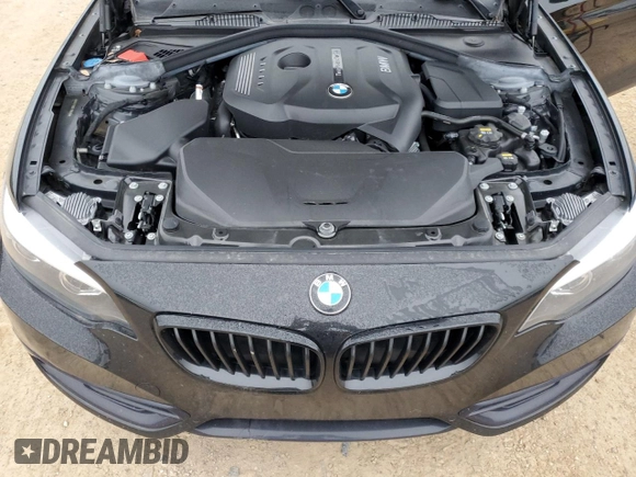 2020 BMW 2 Series 230i with VIN WBA2J1C09L7E60485, listed as a Copart auction lot 44817925 with 53,159 mi miles and Clean Title. Bid and sale history available at carsss.com. Image 11.