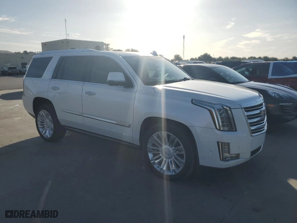 2020 Cadillac Escalade Platinum with VIN 1GYS3DKJ6LR232030, listed as a Copart auction lot 79781614 with 76,209 mi miles and Non Repairable. Bid and sale history available at carsss.com. Image 4.