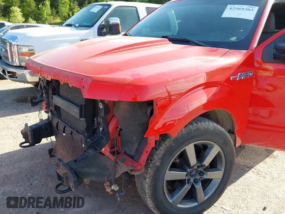 2011 Ford F-150 XL with VIN 1FTMF1EF8BFA61650, listed as a IAAI auction lot 42569203 with 189,836 mi miles and . Bid and sale history available at DreamBid. Image 6.
