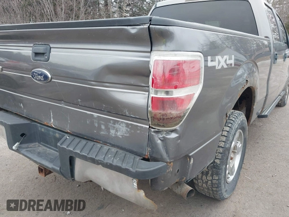 2012 Ford F-150 XL with VIN 1FTFW1ET7CFC28435, listed as a IAAI auction lot 41972527 with 114,319 mi miles. Bid and sale history available at carsss.com. Image 6.