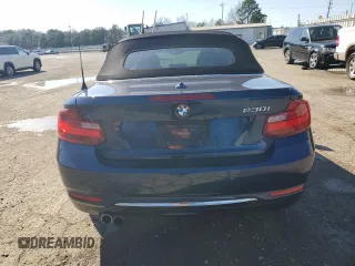 2017 BMW 2 Series 230i with VIN WBA2K9C39HV647568, listed as a Copart auction lot 43027895 with 51,258 mi miles and Salvage title. Bid and sale history available at DreamBid. Image 6.