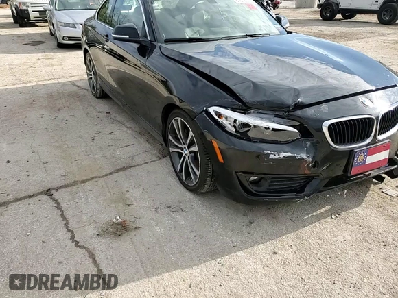 2016 BMW 2 Series 228i with VIN WBA1F9C56GV546309, listed as a Copart auction lot 81612093 with 80,954 mi miles. Bid and sale history available at carsss.com. Image 10.