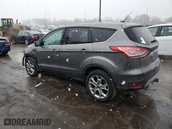 2013 Ford Escape SEL with VIN 1FMCU0H94DUA02476, listed as a Copart auction lot 48042265 with 118,732 mi miles and Salvage Title. Bid and sale history available at carsss.com. Image 2.