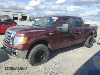 2010 Ford F-150 XL with VIN 1FTEW1C81AFD78287, listed as a Copart auction lot 49237865 with 182,317 mi miles and Salvage Title. Bid and sale history available at carsss.com. Image 1.