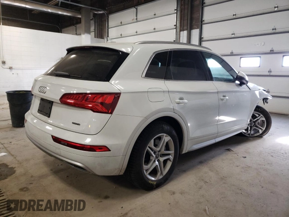 2019 Audi Q5 Premium with VIN WA1ANAFY3K2126962, listed as a Copart auction lot 66142252 with 49,265 mi miles. Bid and sale history available at carsss.com. Image 4.