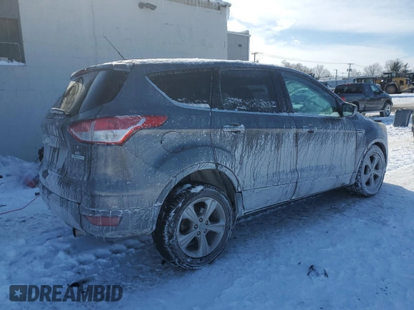 2013 Ford Escape SE with VIN 1FMCU0GX0DUD14925, listed as a Copart auction lot 89111075 with 153,194 mi miles and Salvage Title. Bid and sale history available at carsss.com. Image 3.