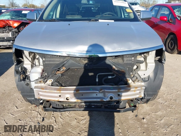 2009 Lincoln MKX with VIN 2LMDU68C49BJ06499, listed as a IAAI auction lot 42072966 with 190,936 mi miles. Bid and sale history available at carsss.com. Image 6.