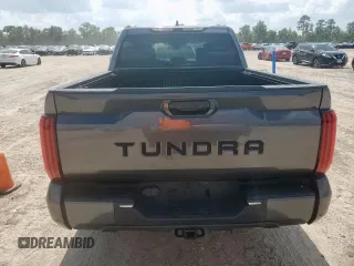 2022 Toyota Tundra SR5 with VIN 5TFLA5AB3NX009801, listed as a Copart auction lot 62122045 with 19,377 mi miles and Salvage title. Bid and sale history available at DreamBid. Image 6.
