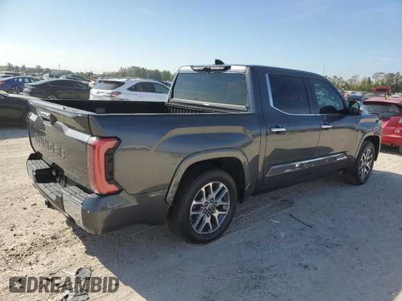 2023 Toyota Tundra 1794 Edition with VIN 5TFMA5AB1PX020609, listed as a Copart auction lot 78865424 with Not provided miles and Non repairable. Bid and sale history available at DreamBid. Image 3.