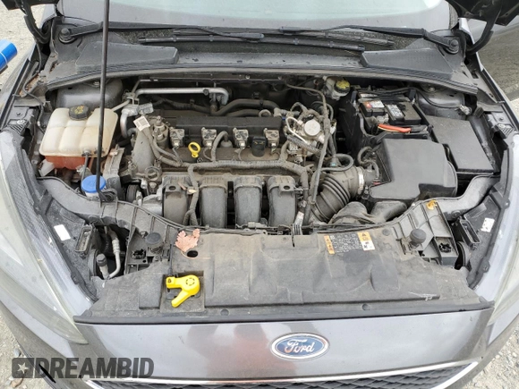 2016 Ford Focus SE with VIN 1FADP3F25GL329217, listed as a Copart auction lot 48250625 with 81,632 mi miles and Clean title. Bid and sale history available at DreamBid. Image 11.