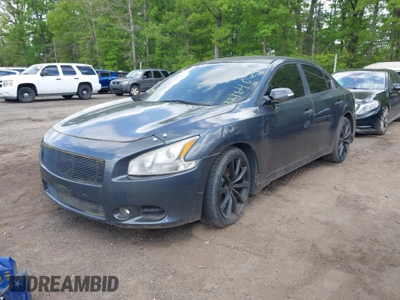 2009 Nissan Maxima SV with VIN 1N4AA51E29C800664, listed as a IAAI auction lot 42164024 with Not Provided miles and . Bid and sale history available at DreamBid. Image 2.