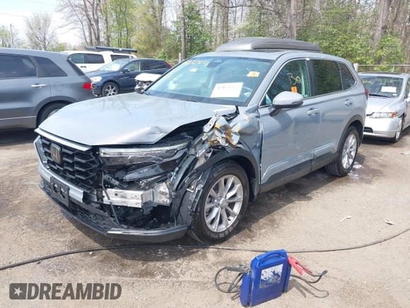 2024 Honda CR-V EX-L with VIN 2HKRS4H71RH486389, listed as a IAAI auction lot 42023710 with 5,316 mi miles. Bid and sale history available at carsss.com. Image 2.