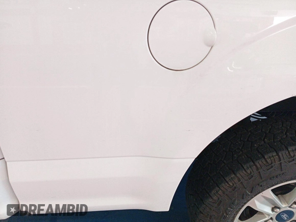 2020 Ford F-150 XL with VIN 1FTEX1EP1LKE45885, listed as a IAAI auction lot 42679224 with 124,413 mi miles and . Bid and sale history available at DreamBid. Image 16.