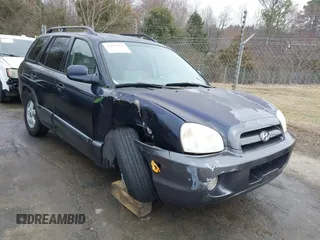2005 Hyundai Santa Fe GLS with VIN KM8SC73D45U943575, listed as a IAAI auction lot 41676922 with 265,333 mi miles. Bid and sale history available at carsss.com. Image 1.