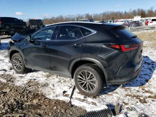 2022 Lexus NX with VIN JTJGGCEZ3N2005494, listed as a Copart auction lot 41362565 with 0 mi miles and Salvage Title. Bid and sale history available at carsss.com. Image 2.