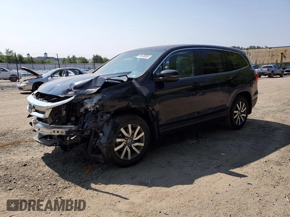 2019 Honda Pilot EX-L with VIN 5FNYF5H5XKB031517, listed as a Copart auction lot 59430655 with 64,929 mi miles and Salvage title. Bid and sale history available at DreamBid. Image 1.