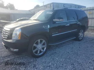 2010 Cadillac Escalade Luxury с VIN 1GYUKBEF8AR248055, выставлен на аукционе Copart как лот 58202775 с пробегом 99 406 миль миль и Списание • Salvage title. История ставок и продаж доступна на DreamBid. Изображение 1.