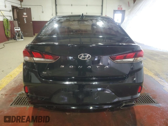 2019 Hyundai Sonata SE with VIN 5NPE24AF1KH807563, listed as a Copart auction lot 49001865 with Not Provided miles and Clean Title. Bid and sale history available at carsss.com. Image 6.