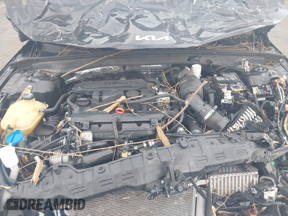 2024 Kia K5 GT-Line z VIN 5XXG64J22RG257080, wystawiony jako IAAI lot #42026127 z przebiegiem 19 477 mil mil oraz . Historia ofert i sprzedaży dostępna na DreamBid. Obrazek 10.