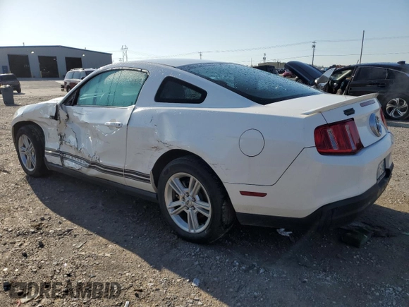 2010 Ford Mustang V6 with VIN 1ZVBP8ANXA5141446, listed as a Copart auction lot 52023755 with 96,093 mi miles and Salvage Title. Bid and sale history available at carsss.com. Image 2.