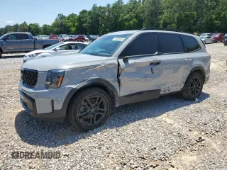 2024 Kia Telluride EX X-Line z VIN 5XYP3DGC6RG476371, wystawiony jako Copart lot #56836845 z przebiegiem 11 365 mil mil oraz Tytuł czysty. Historia ofert i sprzedaży dostępna na DreamBid. Obrazek 1.