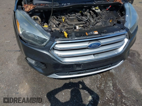 2017 Ford Escape SE with VIN 1FMCU0GD7HUB96092, listed as a IAAI auction lot 41919365 with 113,321 mi miles. Bid and sale history available at carsss.com. Image 6.