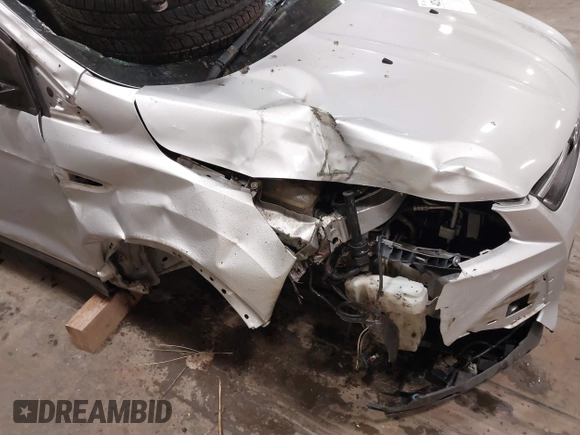 2013 Ford Escape SE with VIN 1FMCU9GX7DUB89197, listed as a IAAI auction lot 42311546 with 131,263 mi miles and . Bid and sale history available at DreamBid. Image 6.