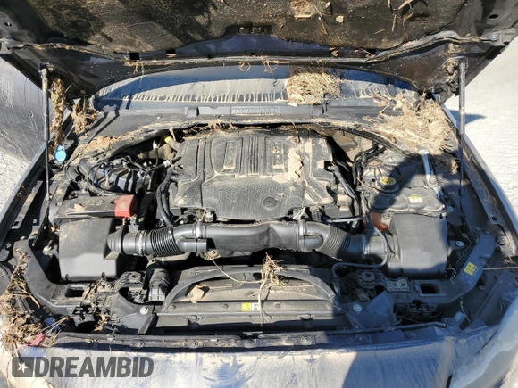 2017 Jaguar XF 35t Prestige with VIN SAJBE4BV9HCY33365, listed as a Copart auction lot 74509854 with 0 mi miles and Salvage Title. Bid and sale history available at carsss.com. Image 11.