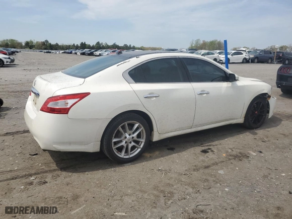 2011 Nissan Maxima 3.5 SV with VIN 1N4AA5AP4BC845130, listed as a Copart auction lot 52973415 with 115,235 mi miles and Salvage Title. Bid and sale history available at carsss.com. Image 3.