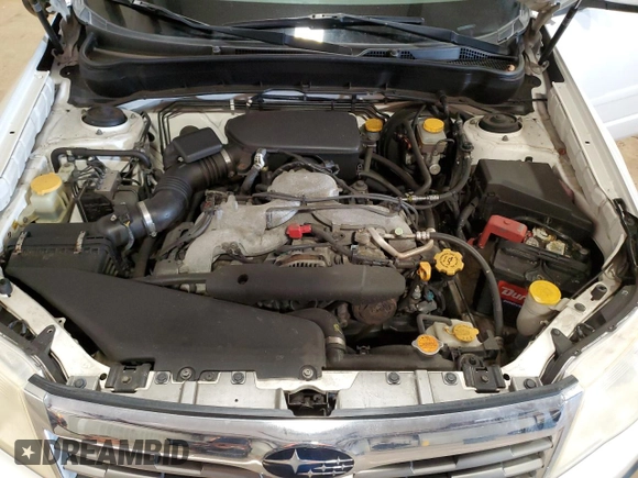 2010 Subaru Forester 2.5X Premium with VIN JF2SH6CC2AG706424, listed as a Copart auction lot 49224175 with 134,168 mi miles and Salvage Title. Bid and sale history available at carsss.com. Image 12.