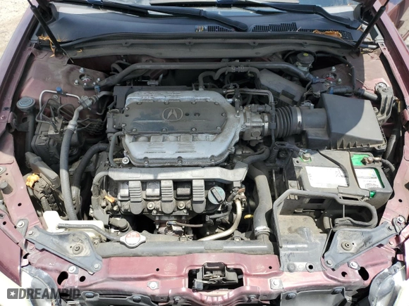 2009 Acura TL Tech with VIN 19UUA86529A021666, listed as a Copart auction lot 63300964 with 0 mi miles and Salvage Title. Bid and sale history available at carsss.com. Image 11.