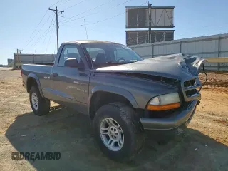 2001 Dodge Dakota with VIN 1B7GG26XX1S346850, listed as a Copart auction lot 44520225 with 183,893 mi miles and Salvage Title. Bid and sale history available at carsss.com. Image 11.