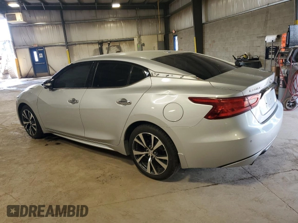 2017 Nissan Maxima Platinum with VIN 1N4AA6APXHC439724, listed as a Copart auction lot 64368725 with 110,495 mi miles and Salvage title. Bid and sale history available at DreamBid. Image 2.