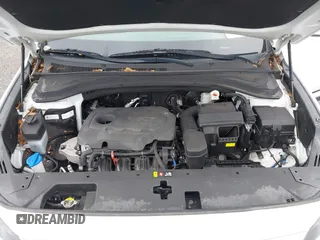 2019 Hyundai Santa Fe SE with VIN 5NMS23ADXKH038506, listed as a IAAI auction lot 42407399 with 54,540 mi miles and . Bid and sale history available at DreamBid. Image 10.