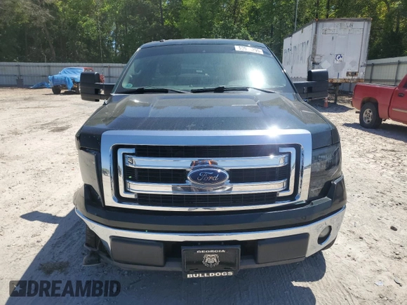 2013 Ford F-150 XL with VIN 1FTMF1CM1DFD63978, listed as a Copart auction lot 52976295 with 173,007 mi miles and Salvage title. Bid and sale history available at DreamBid. Image 5.