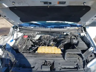 2017 Ford F-150 XL with VIN 1FTEX1E84HFB03694, listed as a IAAI auction lot 41388809 with 217,498 mi miles. Bid and sale history available at carsss.com. Image 10.