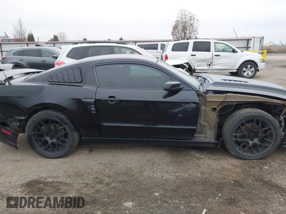 2013 Ford Mustang GT with VIN 1ZVBP8CF3D5240409, listed as a IAAI auction lot 41022550 with 133,744 mi miles. Bid and sale history available at carsss.com. Image 14.
