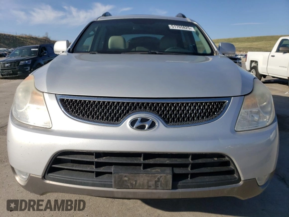 2009 Hyundai Veracruz GLS with VIN KM8NU73C09U079065, listed as a Copart auction lot 51765825 with 171,721 mi miles and Salvage title. Bid and sale history available at DreamBid. Image 5.