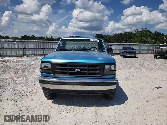 1994 Ford F-150 with VIN 1FTEF14Y4RNA84883, listed as a Copart auction lot 61284945 with Not provided miles and Salvage title. Bid and sale history available at DreamBid. Image 13.