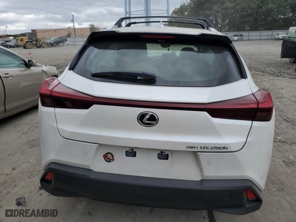 2023 Lexus UX with VIN JTHP9JBH1P2069256, listed as a Copart auction lot 72740784 with 0 miles and Salvage Title. Bid and sale history available at carsss.com. Image 6.
