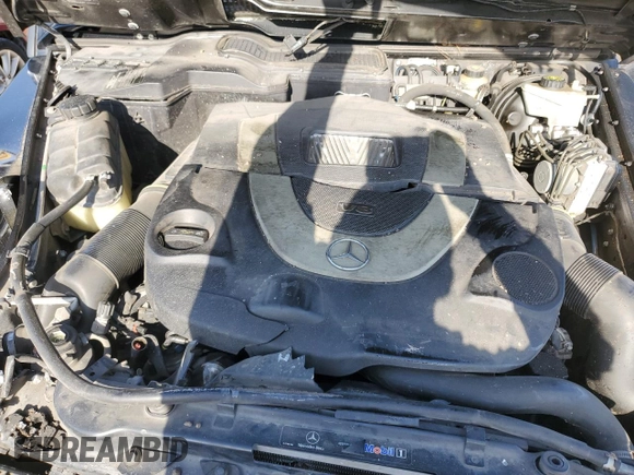 2009 Mercedes-Benz G with VIN WDCYR37E59X179789, listed as a Copart auction lot 48282934 with 154,393 mi miles and Salvage Title. Bid and sale history available at DreamBid. Image 12.