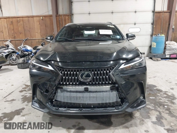2022 Lexus NX with VIN JTJAGCEZ0N2003241, listed as a IAAI auction lot 41509411 with 53,287 mi miles. Bid and sale history available at carsss.com. Image 12.
