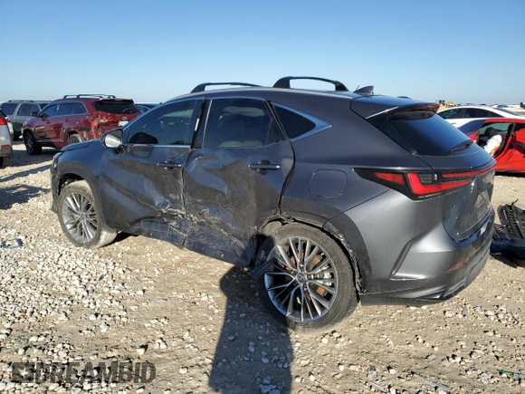 2023 Lexus NX 350h Luxury with VIN 2T2HKCEZ5PC014073, listed as a Copart auction lot 43215295 with Not Provided miles and Salvage Title. Bid and sale history available at DreamBid. Image 2.