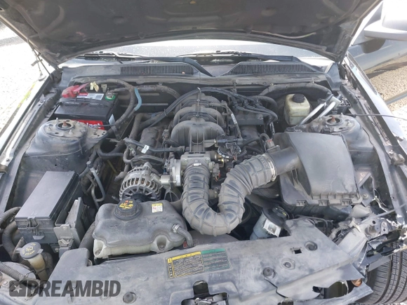 2006 Ford Mustang Standard with VIN 1ZVFT80N065182187, listed as a IAAI auction lot 42453637 with Not provided miles and . Bid and sale history available at DreamBid. Image 10.