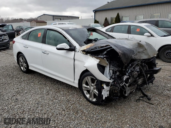 2019 Hyundai Sonata SEL with VIN 5NPE34AF1KH762699, listed as a Copart auction lot 49857895 with Not Provided miles and Non Repairable. Bid and sale history available at DreamBid. Image 4.