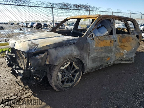 2023 Kia Telluride S with VIN 5XYP6DGC5PG339636, listed as a Copart auction lot 87691975 with Not Provided miles and Non Repairable. Bid and sale history available at DreamBid. Image 1.