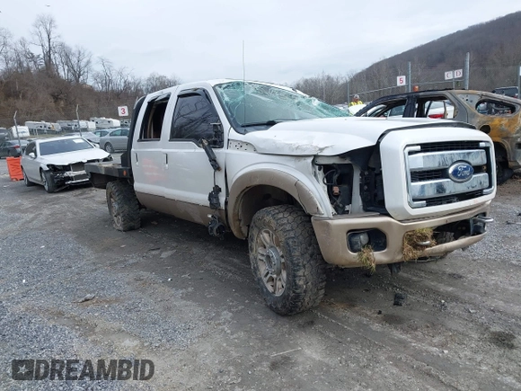 2011 Ford Super Duty F-250 SRW XL with VIN 1FT7W2BT9BEB98633, listed as a IAAI auction lot 41146608 with 209,089 mi miles. Bid and sale history available at carsss.com. Image 1.