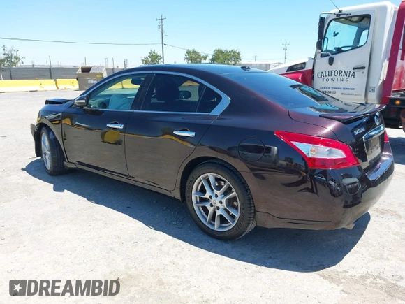 2010 Nissan Maxima SV with VIN 1N4AA5AP0AC823995, listed as a IAAI auction lot 42672254 with 174,386 mi miles and . Bid and sale history available at DreamBid. Image 3.