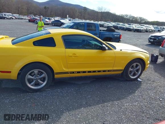 2006 Ford Mustang Standard with VIN 1ZVFT80N065243991, listed as a IAAI auction lot 41900624 with 149,041 mi miles. Bid and sale history available at carsss.com. Image 13.