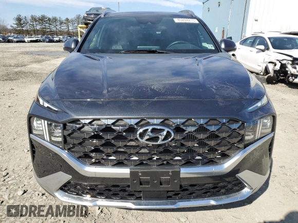2023 Hyundai Santa Fe Calligraphy with VIN 5NMS5DAL2PH640568, listed as a Copart auction lot 45269215 with 19,962 mi miles and Salvage Title. Bid and sale history available at carsss.com. Image 5.